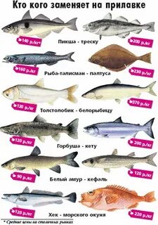 Каких рыбах меньше