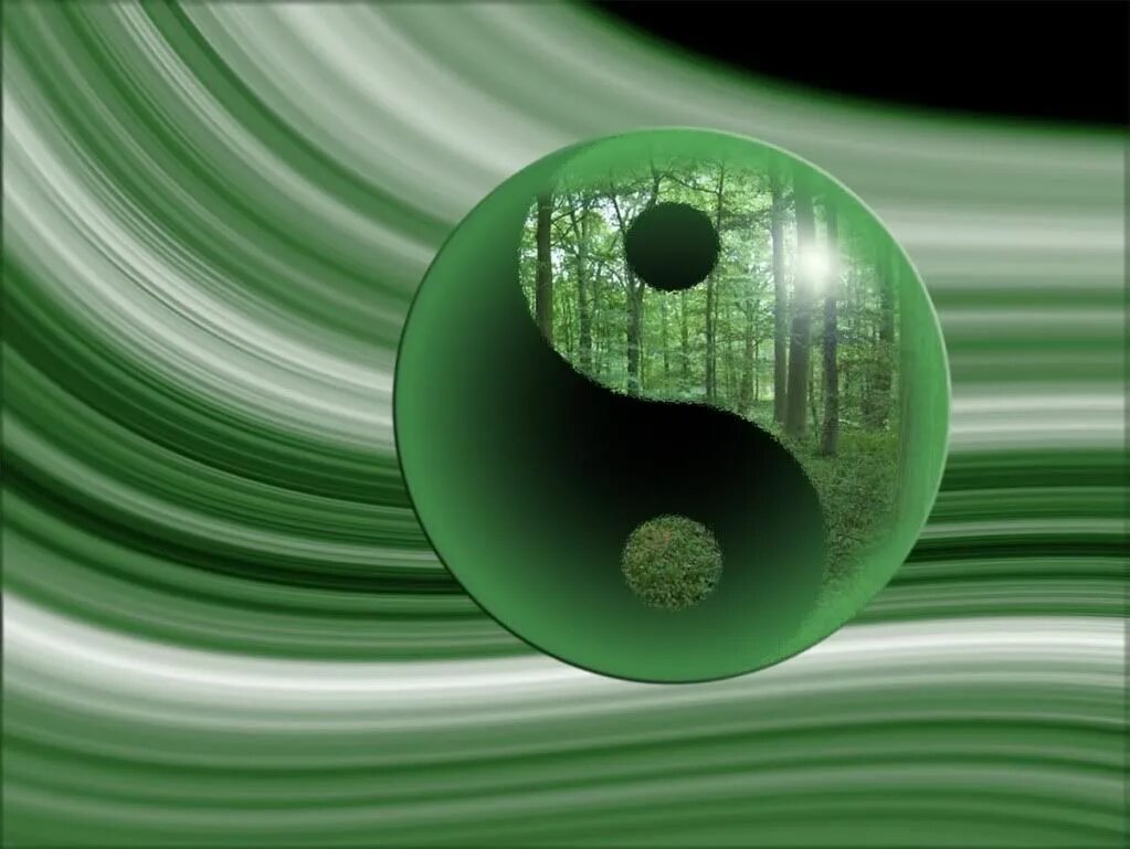 Yin yang очиститель. Инь ян арт. инь янь космос. синь янь. yang yin creation.
