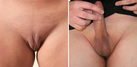 Файл:Vulva vs scrotum.jpg - Википедия
