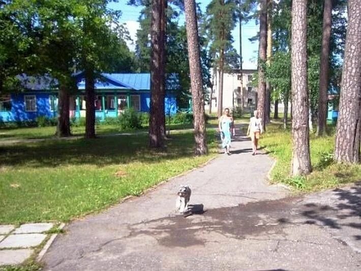 Санаторий белое озеро ульяновская. Санаторий белое озеро ульяновская область. Санаторий белое озеро ульяновская область сайт. Санаторий белое озеро ульяновская область. Санаторий белое озеро ульяновская область сайт.