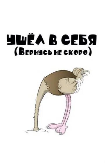Включи не вернись. Вернись надпись. Белка ждет. Белка ждет. Вернись пожалуйста.