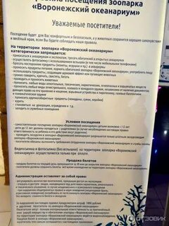 Океанариум воронеж расписание 2024