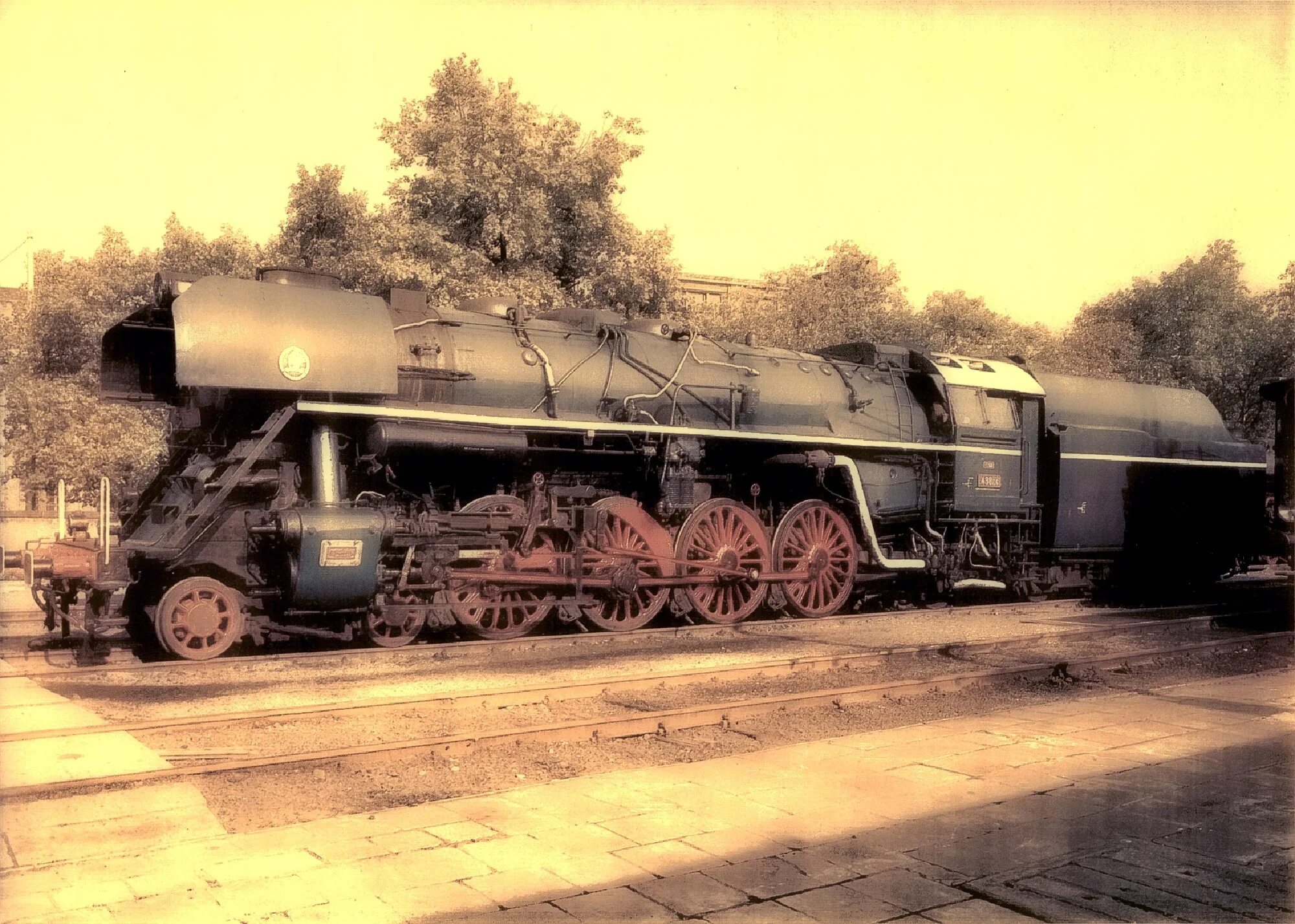 Train forced