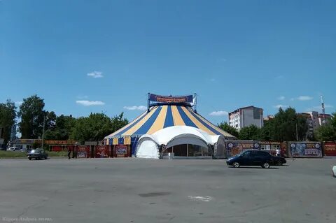 Цирк в городе орел