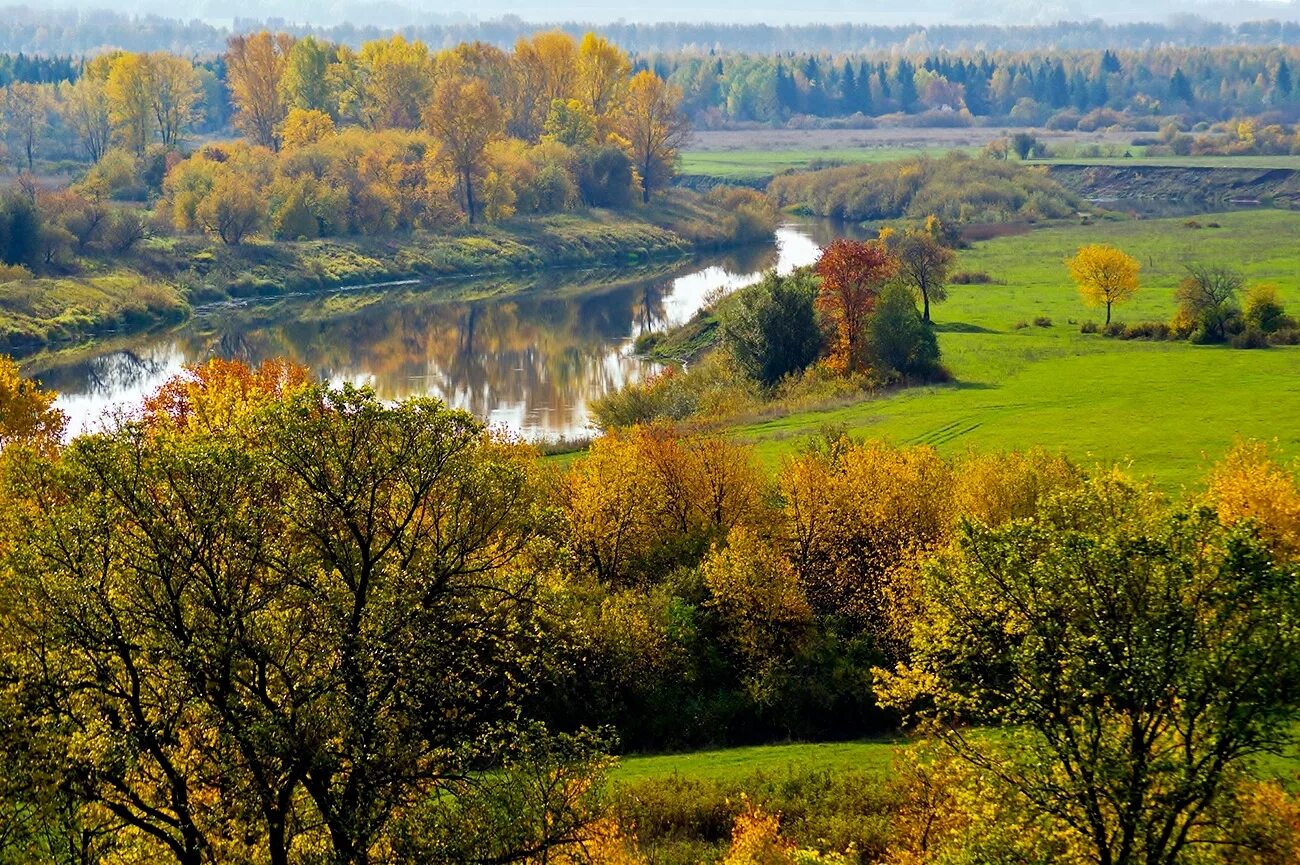 Люблю природу русскую осень. Золотая осень в средней полосе России. Поля и Дубравы. Золотая осень средняя полоса России природа. Осенние пейзажи в средней.