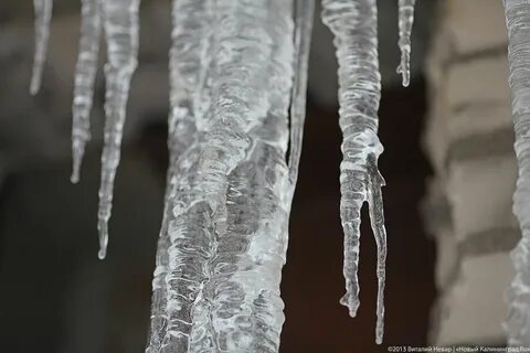 Признаки похолодания