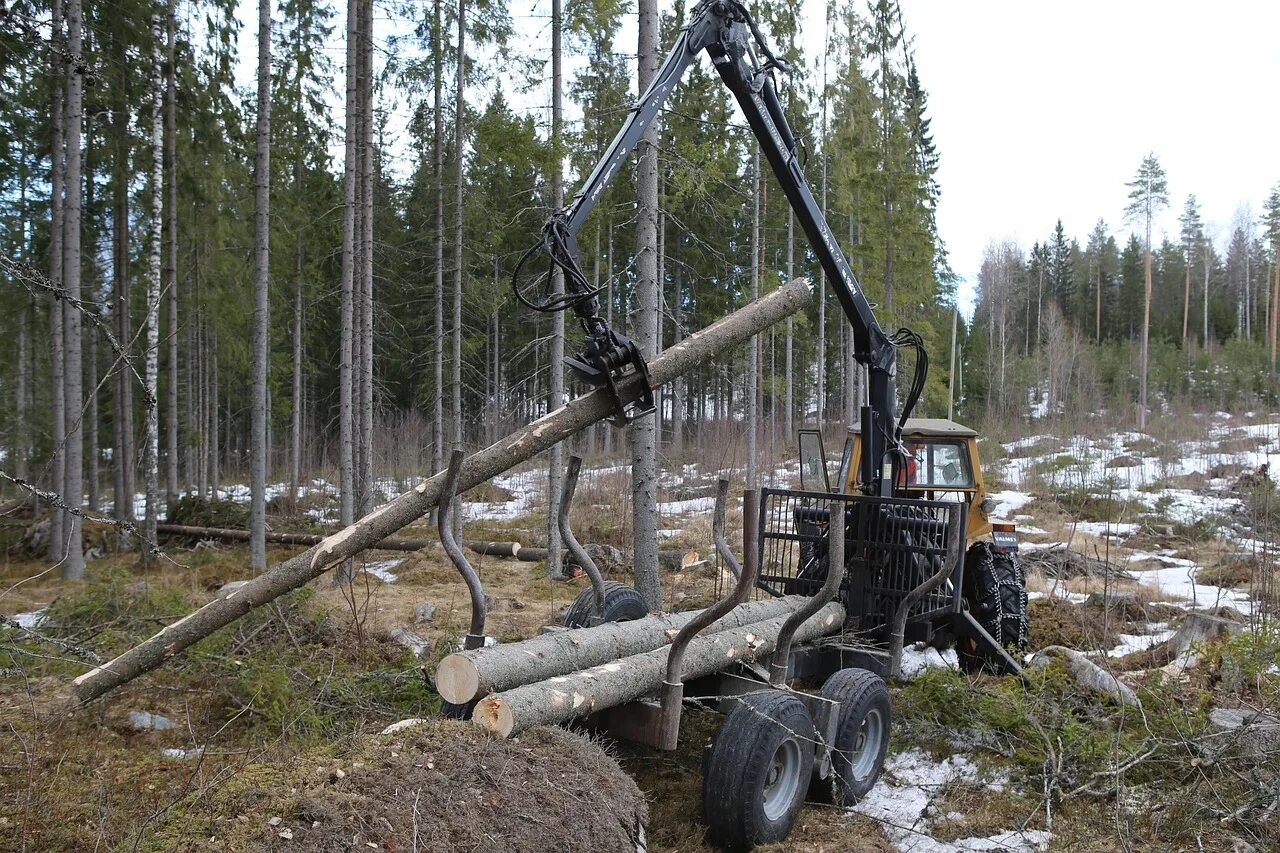Problems logging