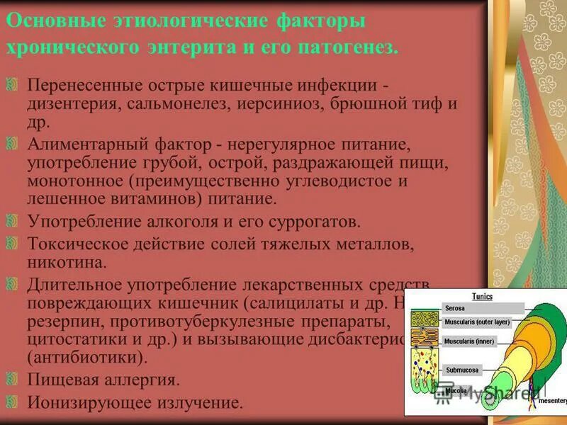 Этиология острого энтерита. Энтерит патогенез. Энтерит патогенез. Хронический неспецифический энтерит. Хронический энтерит механизм развития.
