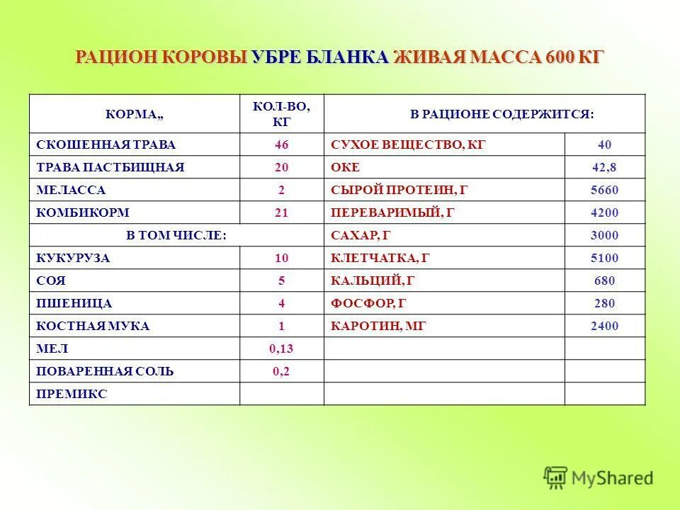 Корм кормить звон звонить