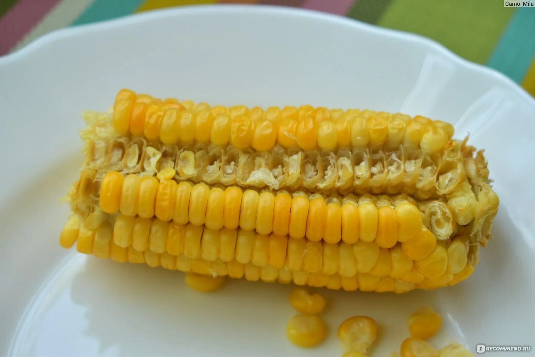 Кукуруза заморозки. Заморозки на кукурузе. кукуруза заморозка. возвратные заморозки кукуруза. кукуруза очищенная замороженная.