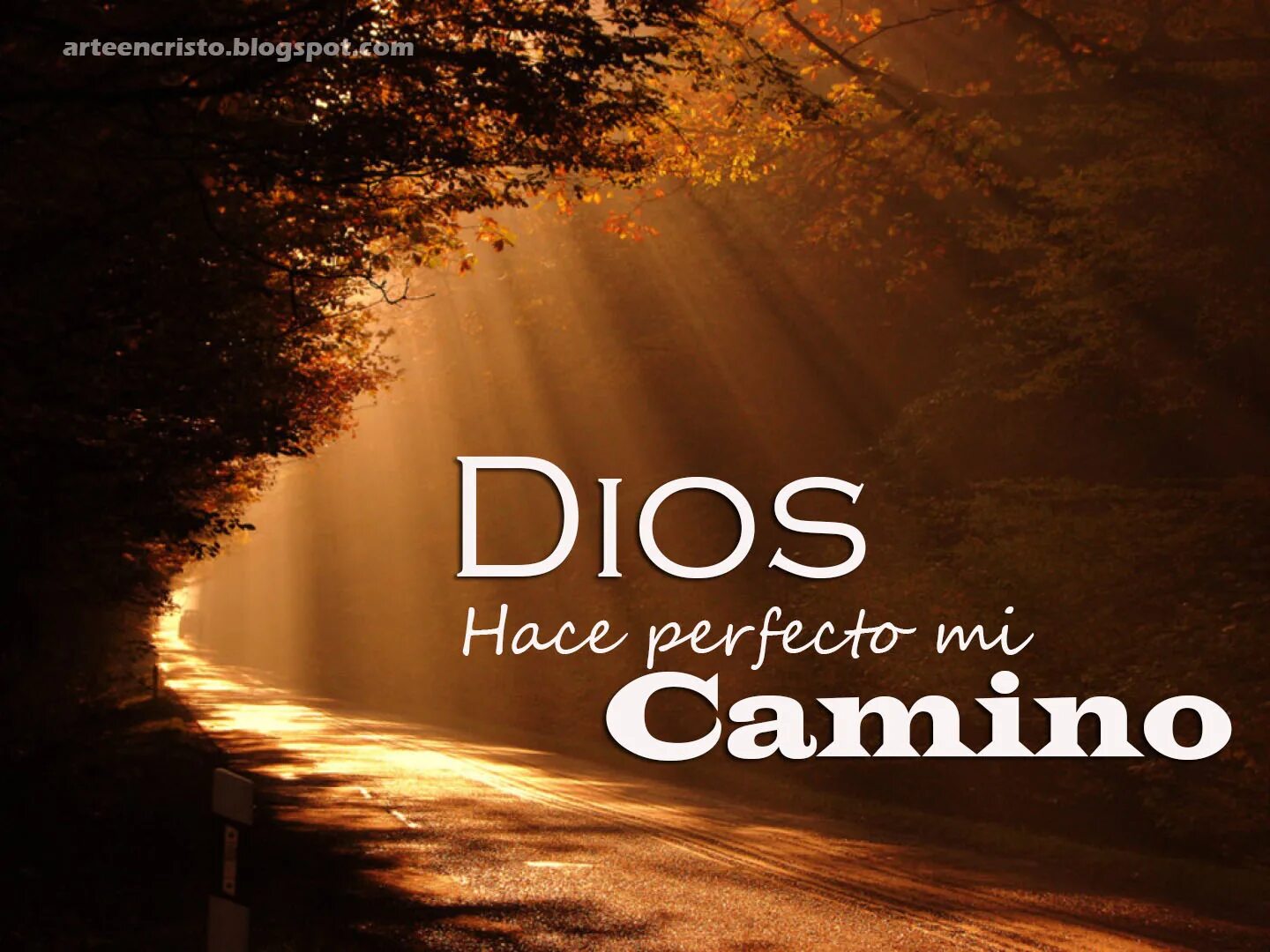 Con dios перевод. Dios. Camino con Dios красивый шрифт. («El Camino Miguel delibes цитата.