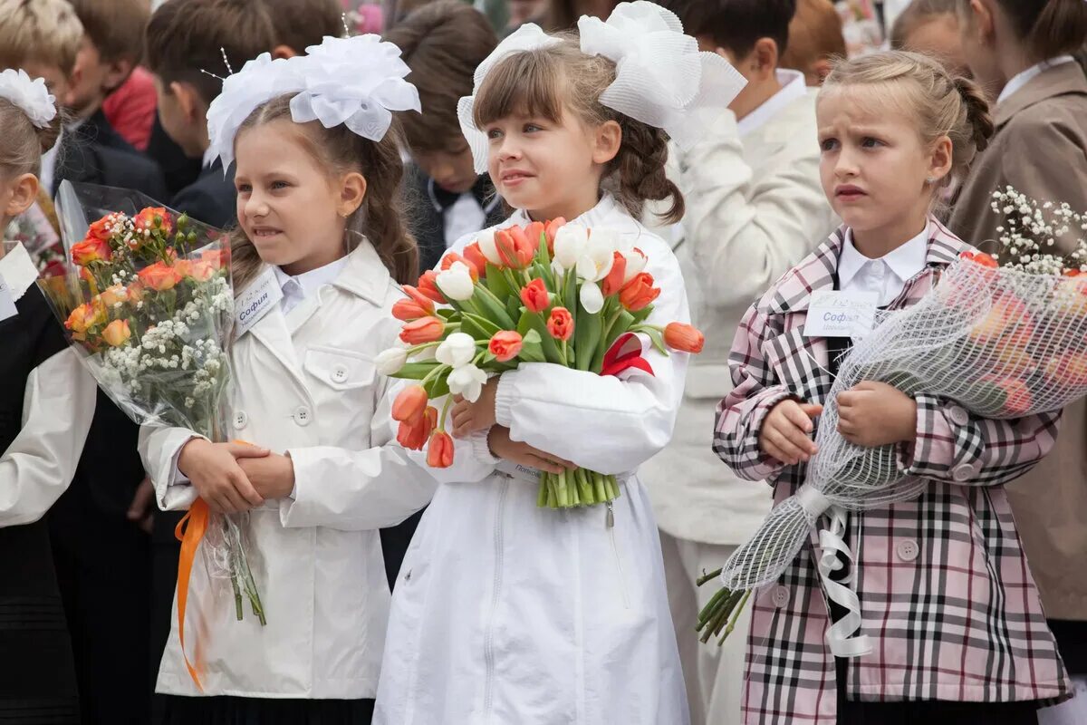 Какие выборы 1 сентября. 1 Сентября день знаний. Школьники 1 сентября. Линейка в школе. Первоклассники на линейке.