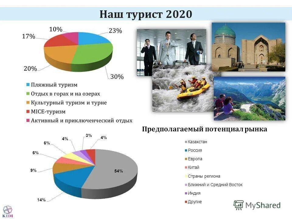 Статистика туризма в России 2020. Виды туризма в мире статистика. Диаграмма туризма в России. Виды туризма диаграмма.