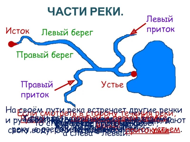 Днепр какой берег левый. Схема реки Исток приток Устье. Исток реки Устье реки. Исток Устье правый берег левый берег реки. Исток реки Устье реки правый приток.