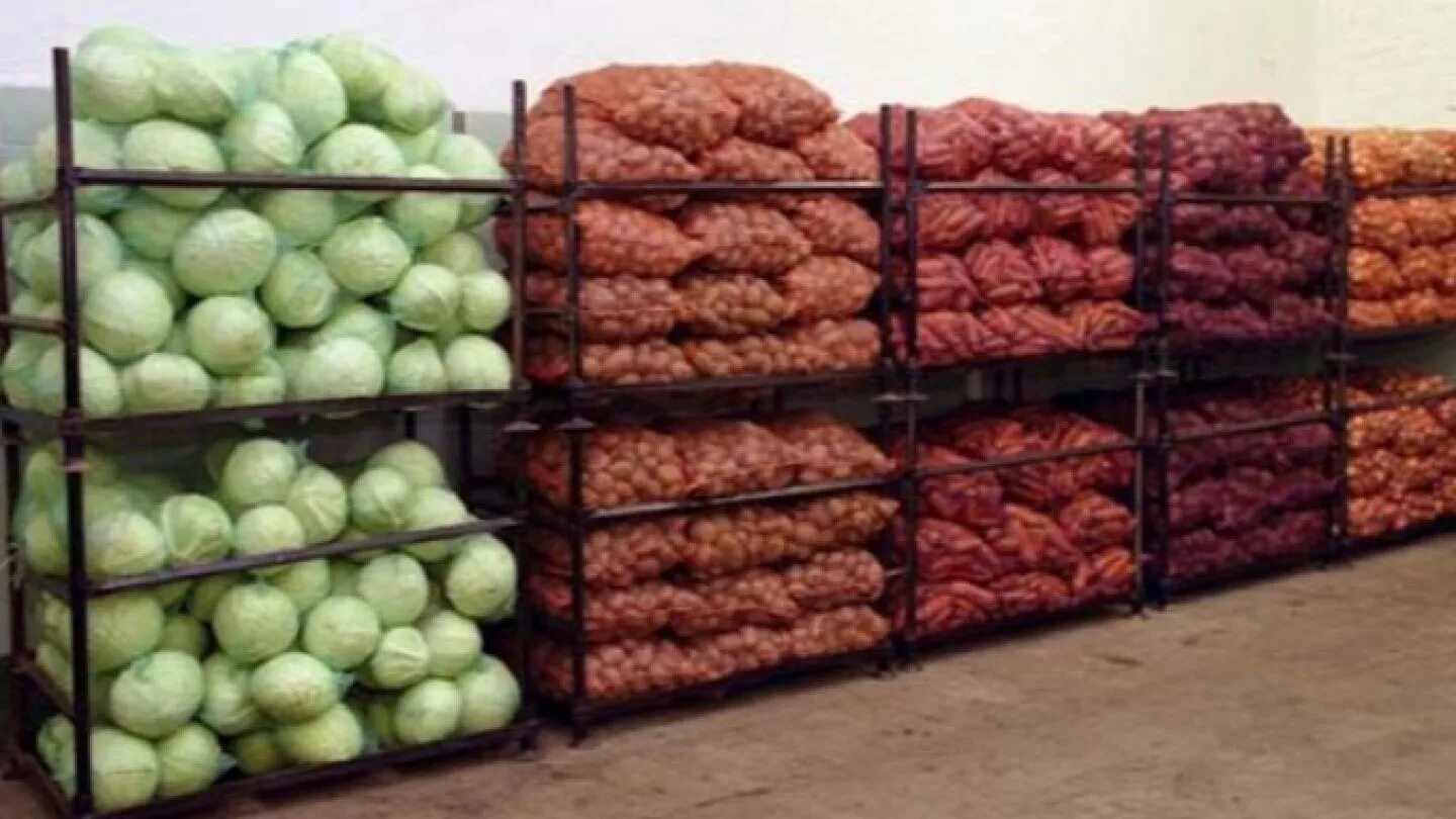 Купить овощи беларусь. Хранилище для овощей и фруктов. Хранение овощей на складе. Склад для хранения картофеля. Хранение плодоовощной продукции.