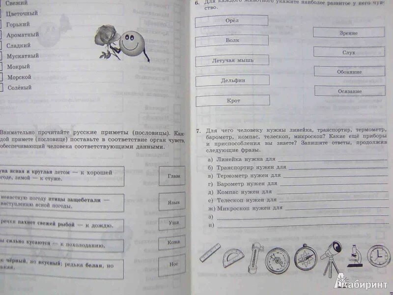 Заготовка цветок Информатика 5 класс. Ваза Информатика 5 класс. Информатика 5 класс уроки. Ваза из папки заготовки Информатика 5 класс. Электронное приложение к учебнику информатика 5 класс