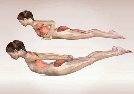 Anatomy teenwxve