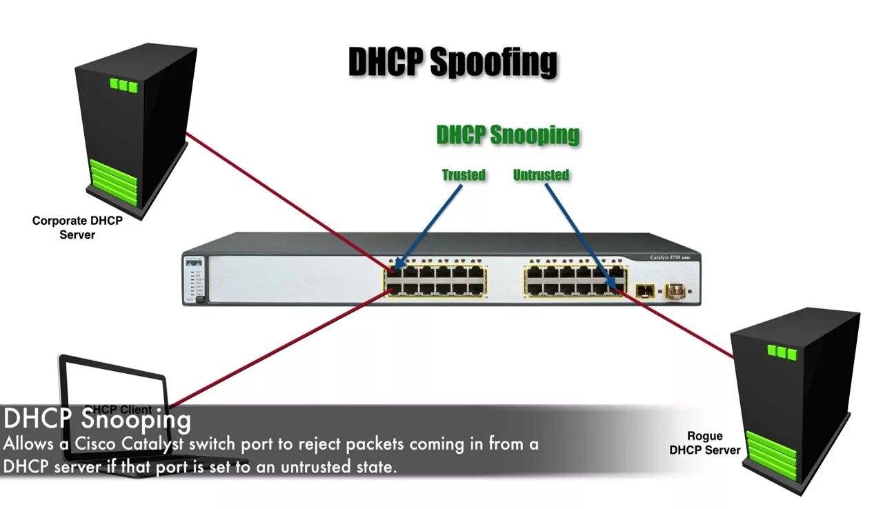 Server remote port. Dhcp spoofing атака. dhcp server cisco. dhcp snooping. cisco catalyst pppoe.
