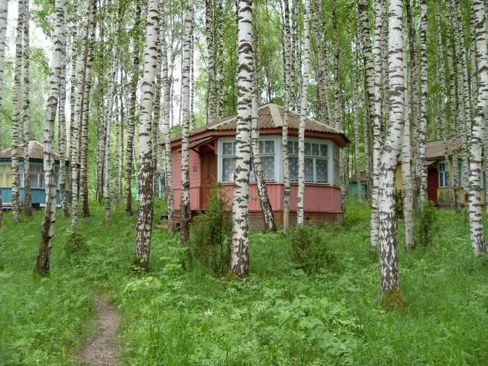 Березки павловский. Дом отдыха Березка Нижегородская область. Турбаза Березка Нижегородская область Чкаловский район. Нижегородская область Павловский район база отдыха Березка. Нижегородская область Кстовский район берёзка.