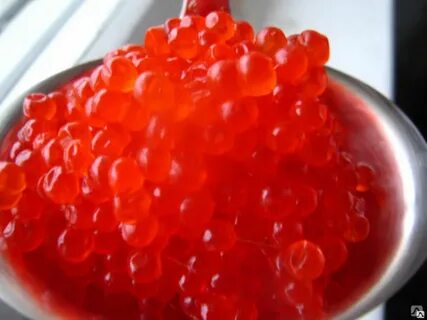 Икра красная форель 1 кг