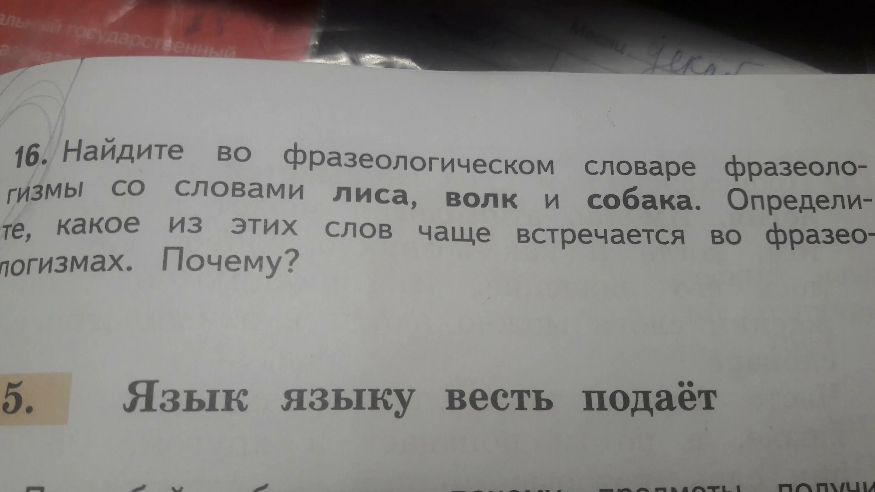 Какое из этих слов часто. Словарь фразеологизмов со словом лиса. фразеологический словарь со словами лиса волк собака. фразеологизмы к слову лиса. найти фразеологизмы со словами лиса волк и собака.