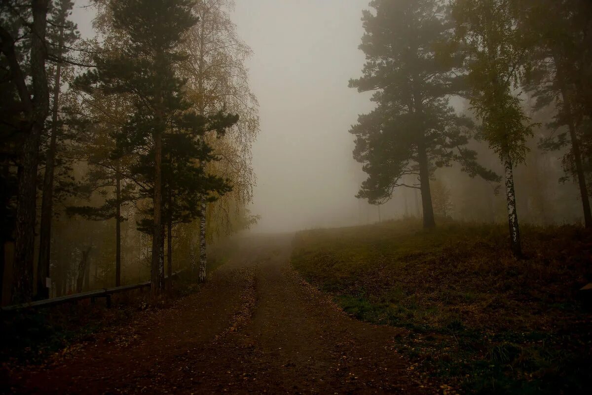 6 4 в никуда. Дорога никуда. Дорога в никуда лес. Фото дороги в никуда. Тропа в никуда.