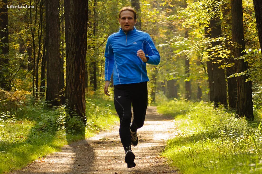 побежал в лес. бежит по лесу. пробежка в лесу. парень бежит в лесу. бег в лесу.