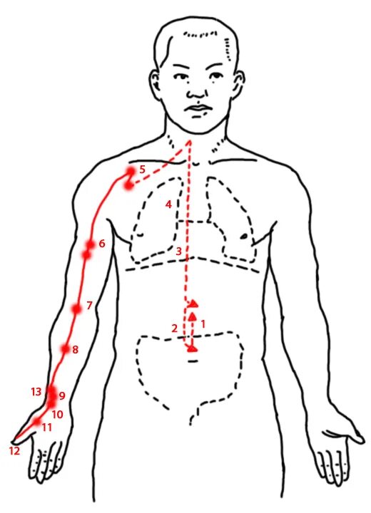 Артровикс меридиан. Меридиан легких точки акупунктуры. Тай Инь Меридиан. Меридиан сердца внутренний ход. Меридиан сердца в китайской медицине точки.