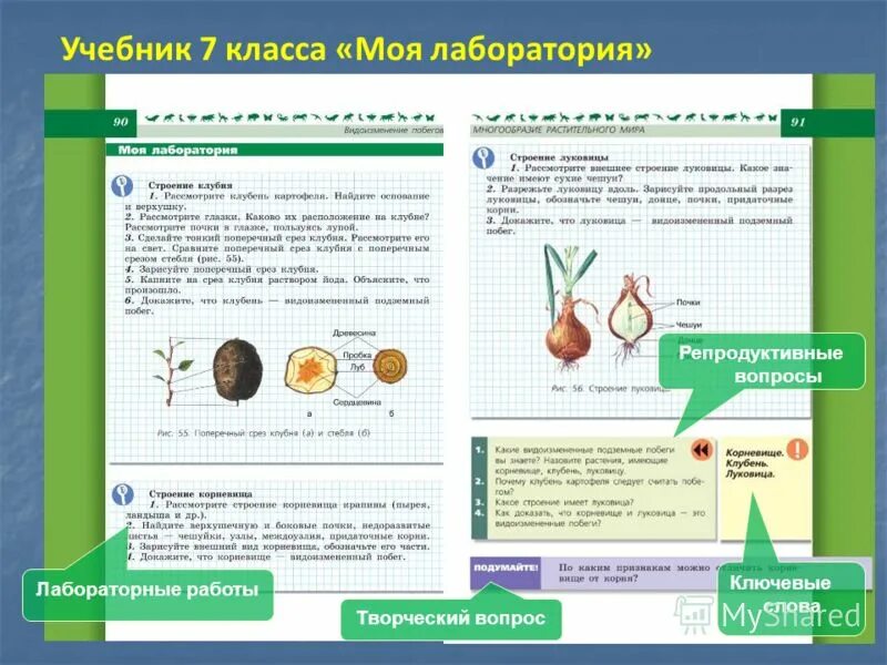 моя лаборатория 5 класс биология пасечник. лабораторная работа по биологии 5 класс растения. биология 5 класс моя лаборатория. лабораторная работа по биологии 5 класс. моя лаборатория биология 9 класс пасечник.