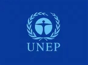Создание юнеп. Юнеп 1972. United nations environment programme (unep). Программа юнеп. Программа оон по окружающей среде.