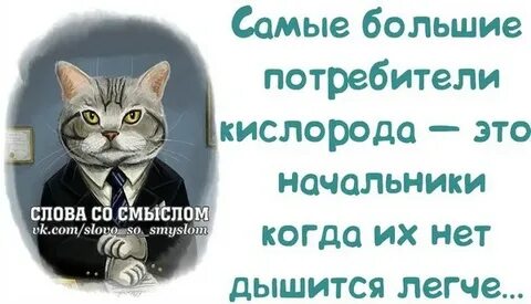 Добрые слова начальник