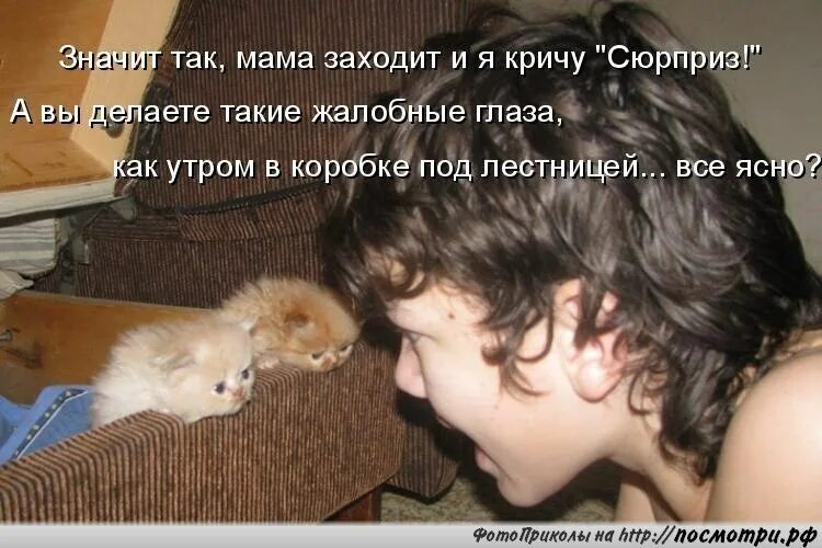 Чтоб орала