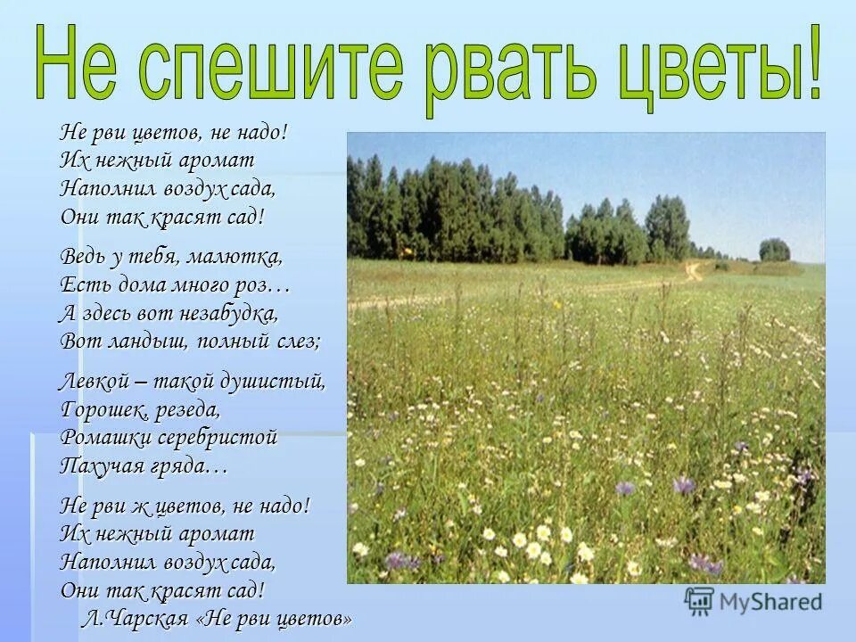 Стих не рвите цветы. Стих не рви цветы не надо. Не рвать цветы. Л Чарская не рви цветов.