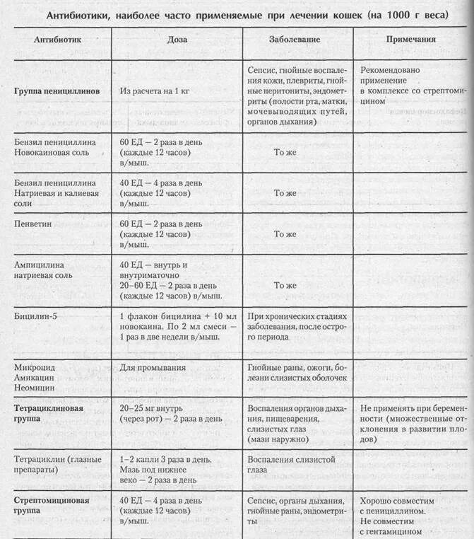 Антибиотики для кошек. Какая дозировка антибиотика для котят. Дозировка антибиотика для кота. Можно коту давать антибиотики для людей. Синулокс 50 мг.