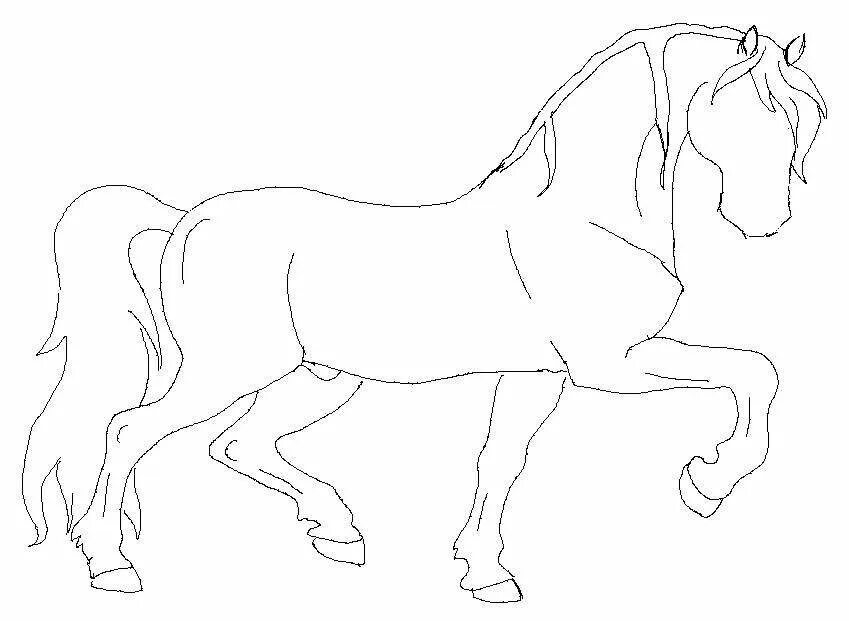 Трафарет лошади. Трафарет лошади для рисования. Лошадь контур. Лошадка трафарет.