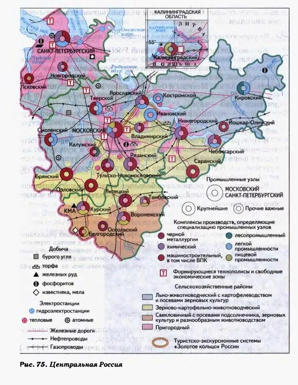 Природные ресурсы центральной России на карте. Природные ресурсы центрального экономического района карта. Центральный экономический район России промышленные центры. Карта природных ископаемых центральной России.