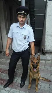 Полиция 24 часа