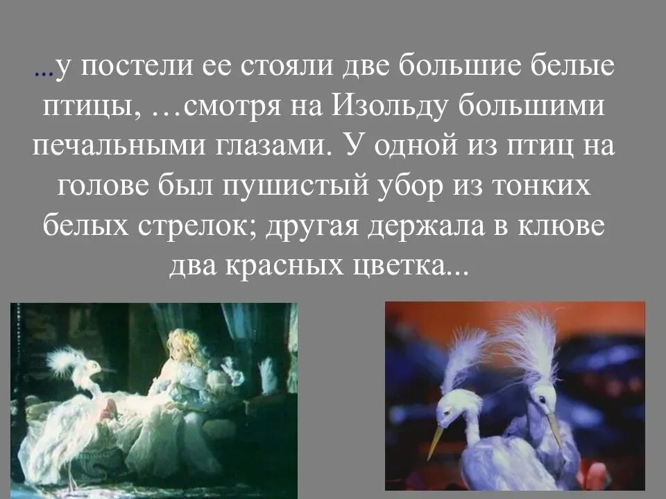 Содержание белая цапля. Сказка телешова белая цапля. н.д. телешов. сказка «белая цапля». иллюстрация к сказке белая цапля телешов.