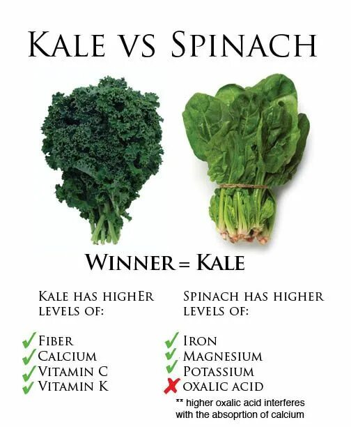 Kale перевод