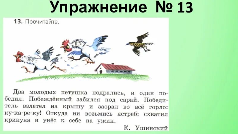 Молчуна перемолчит крикуна перекричит что это. Текст 2 класс. Два молодых петушка подрались и один. Два молодых петушка подрались и один победил другого. Ушинский подрались два петушка.