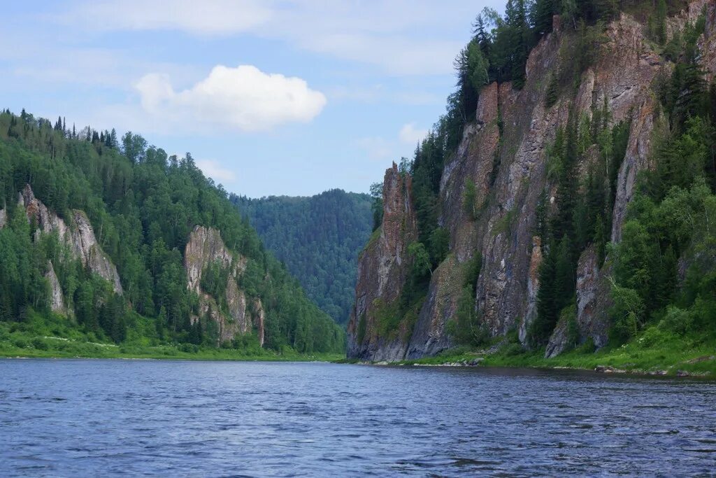 Мрассу. Река Мрассу Горная Шория. Река Мрас-Су в Кемеровской области. Тайга горной Шории. Река кия Кемеровская область.