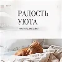 Радость уюта