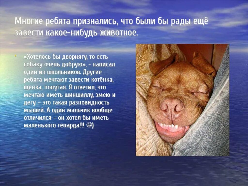 Братья наши меньшие сочинение. О братьях наших меньших 3 класс презентация. Сочинение о братьях наших меньших. О братьях наших меньших 3 класс презентация. Произведения о братьях наших меньших.