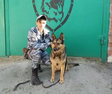 Самарская область собаки