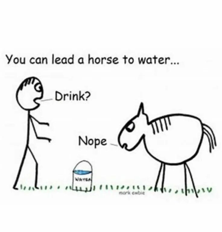 You can lead a Horse to Water but you can't make it Drink. You can take a Horse to Water but you cannot make him Drink. You can lead a Horse to Water but you can't make him Drink. You can take a Horse to the Water but you can't make him Drink русский эквивалент. Make him drink