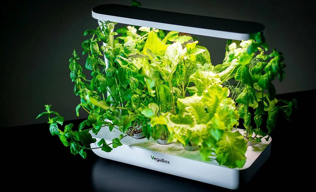 Астро бокс. Бон-нп-16 бокс оптический настенный. T box 8 4. T box 8 4. Проект t-box.