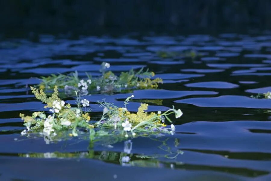 Рассекая воду плывет по реке. Венки на воде. Веночки в воде. Венки плывут. Цветы плывущие по реке.