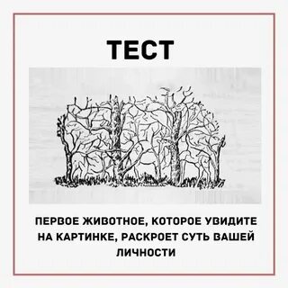 Кто что увидит