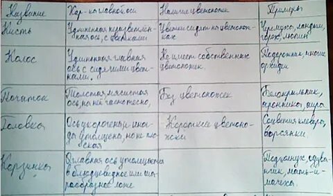 Заполнить в параграфе