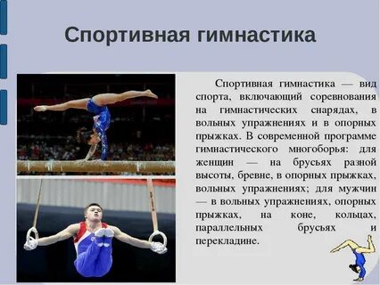 Характеристика спортивной гимнастики